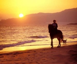 Horse riding on the beach